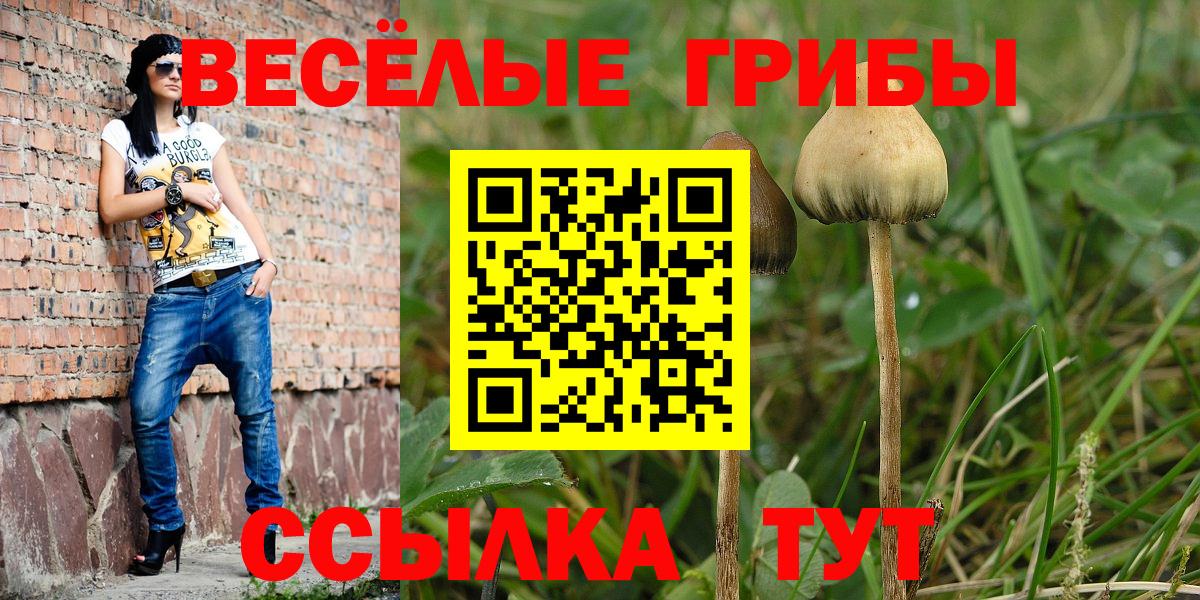 Гурьевск  Галлюциногенные грибы мухоморы  Вход с VPN 